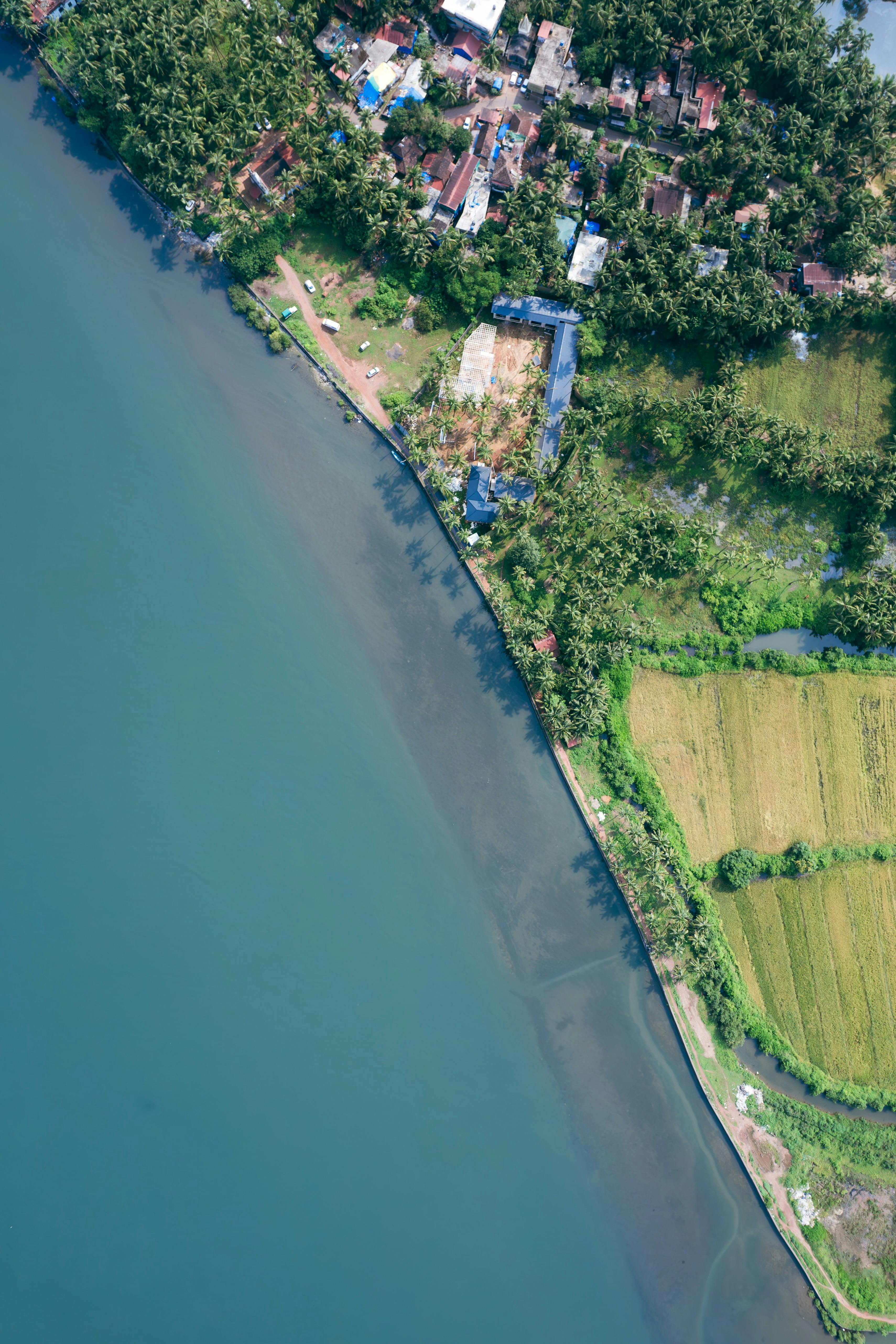 Coastal View Goa.jpg