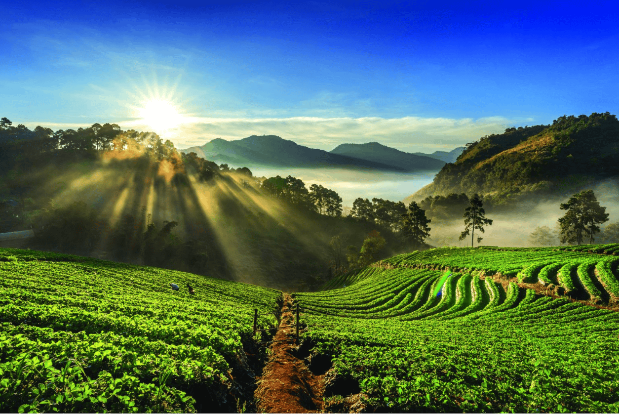 Coorg.png