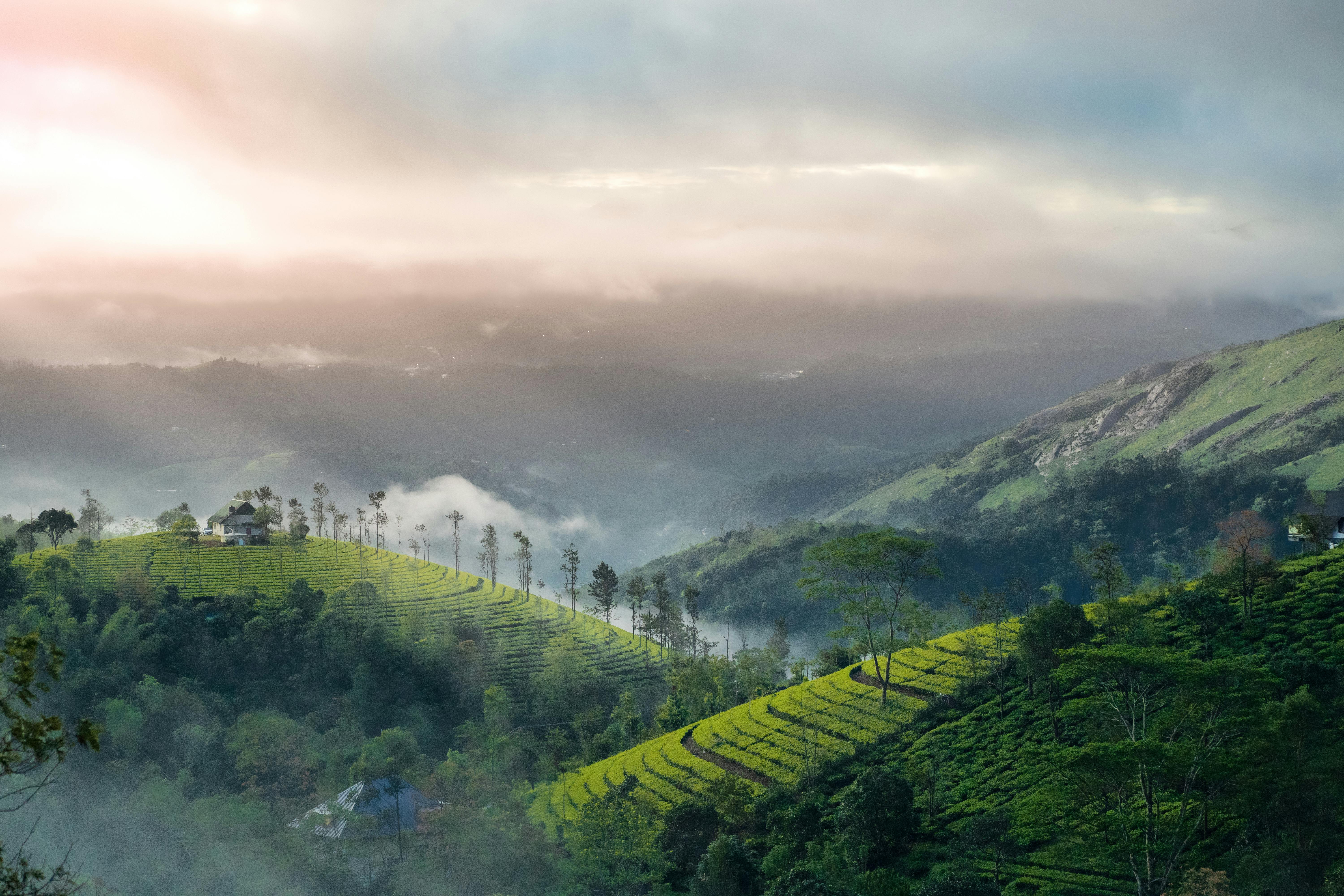 Munnar.jpg