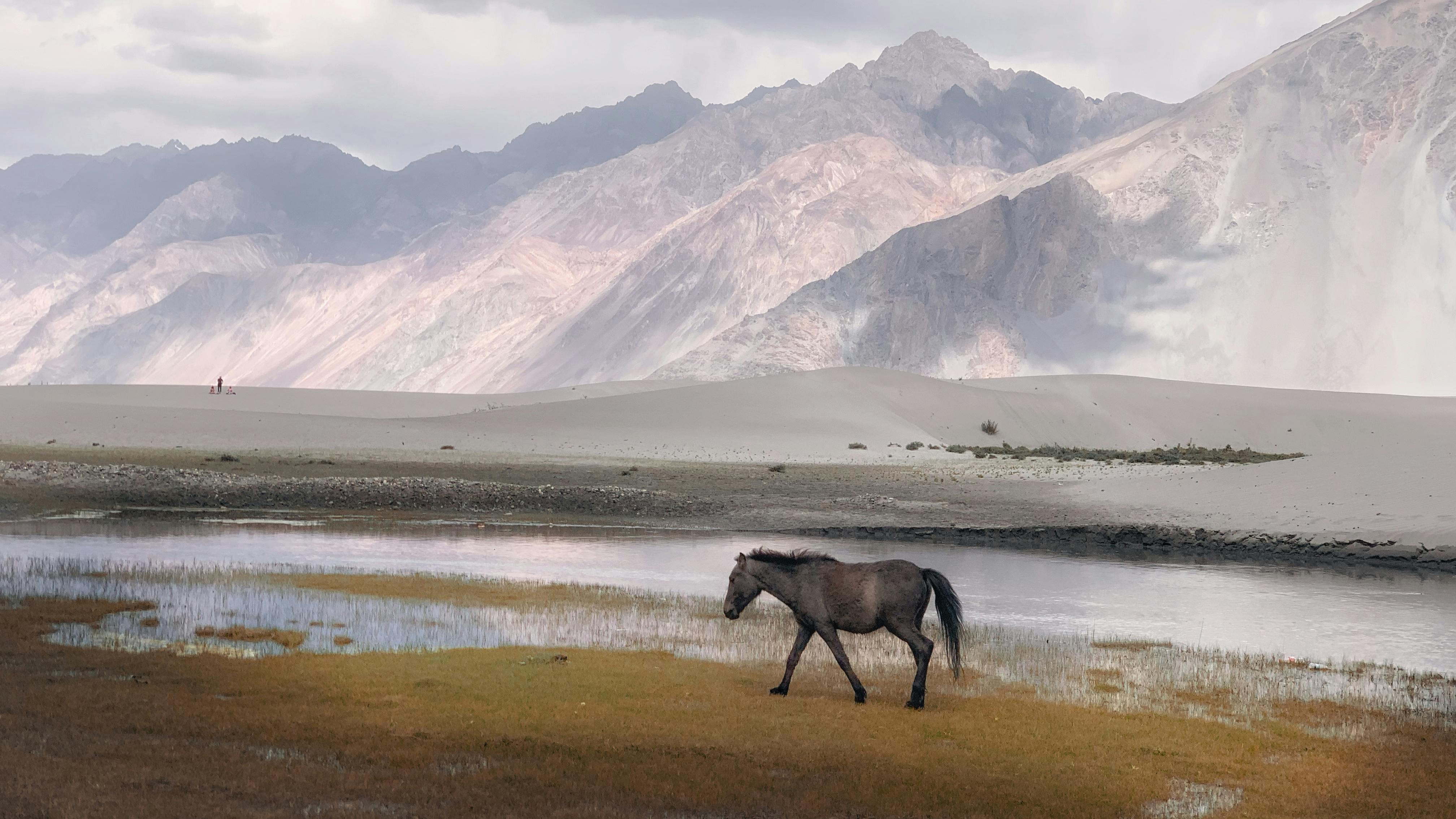 Nubra.jpg