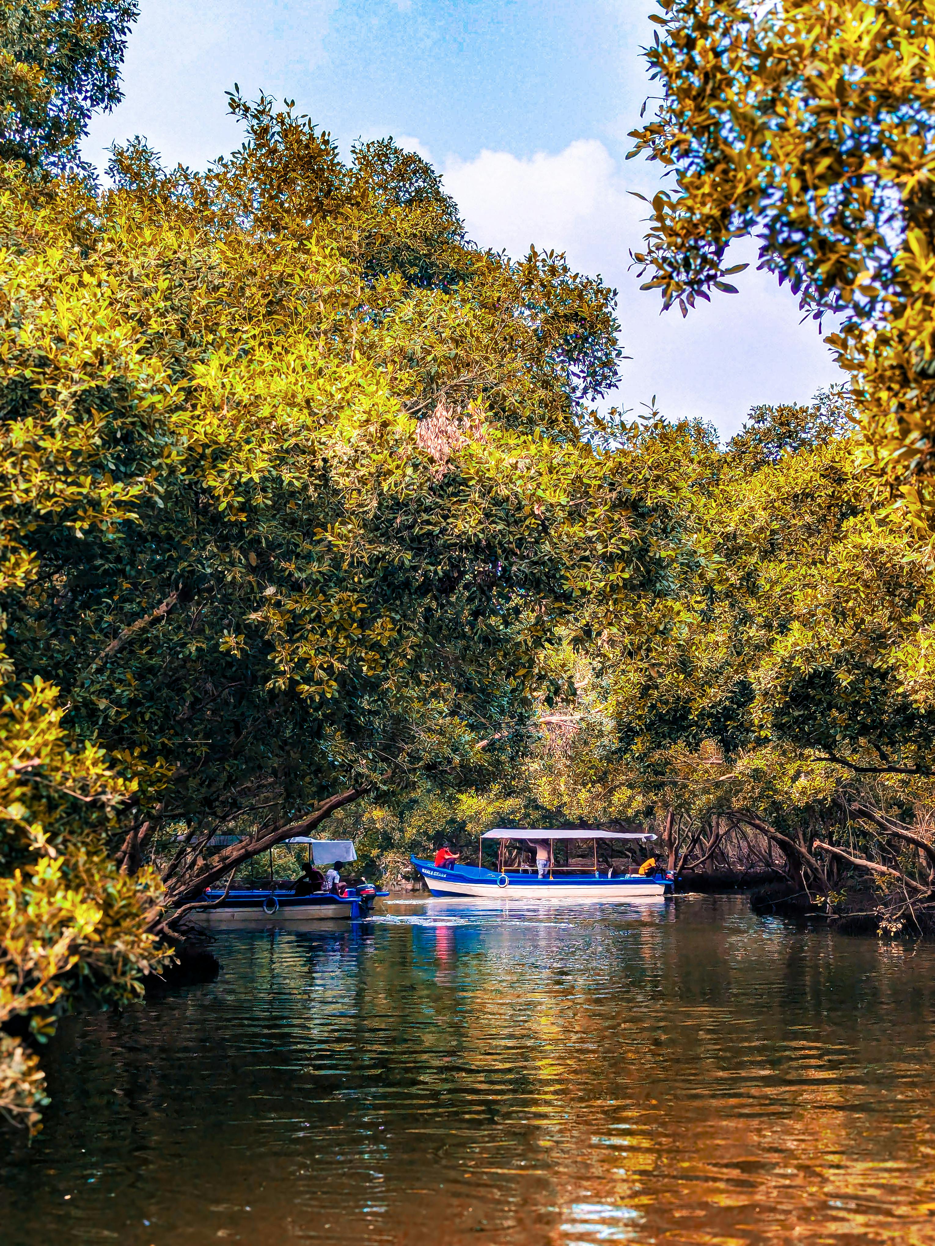 Panaji Goa.jpg