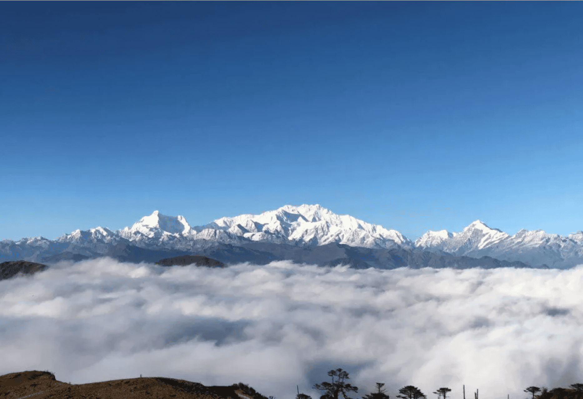 Sandakphu-Trek-West-Bengal-Trek-The-Himalayas-05-30-2025_02_47_AM.png