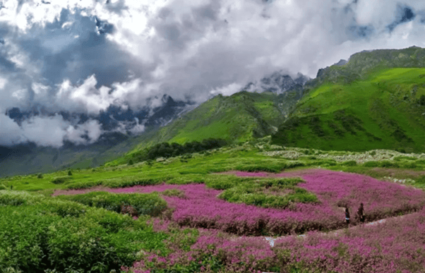 Valley of Flowers_1.png