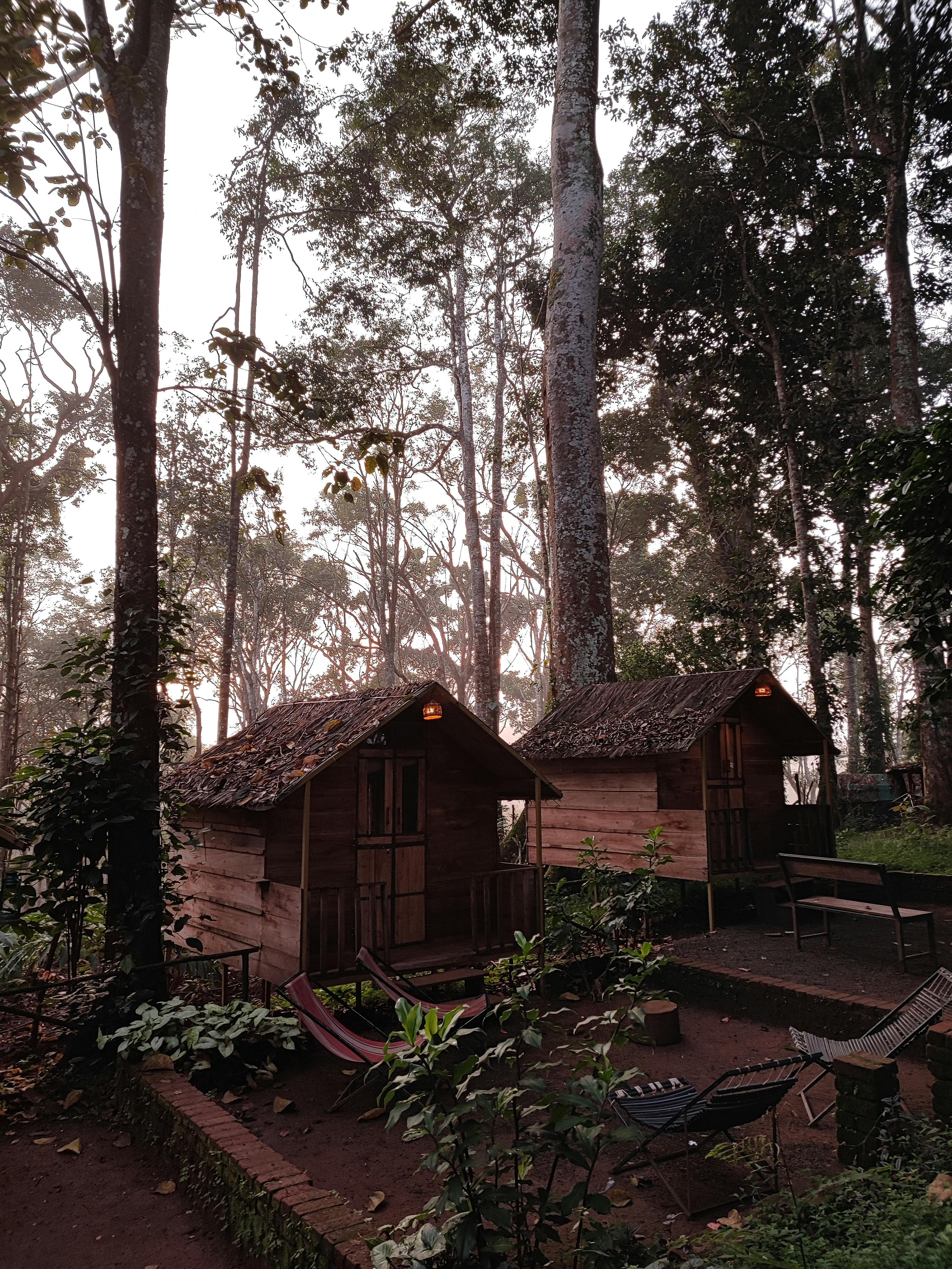 Wayanad.jpg